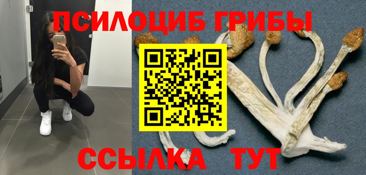 Оренбург  Галлюциногенные грибы мухоморы  Вход с VPN  Галлюциногенные грибы GOLDEN TEACHER 